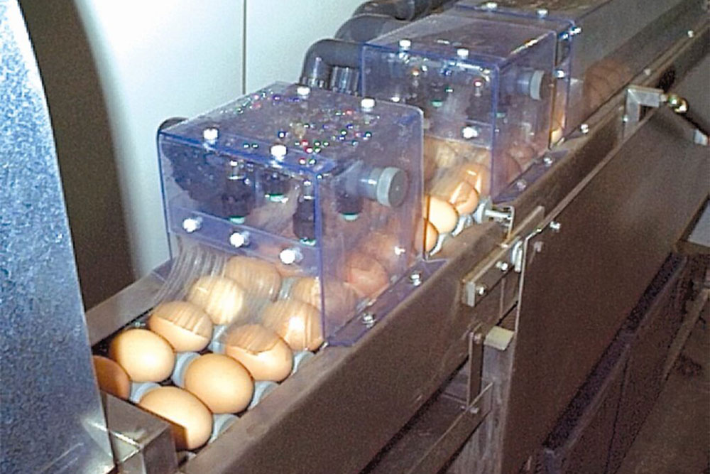 Techtongda Semi-Automatic Egg Washer Brush Egg Surface Cleaning Egg Washing  Machine